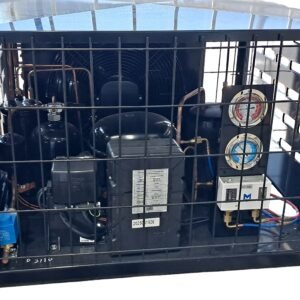 1HP Outdoor Condenser Freezer unit NT2180GK FNH15m2